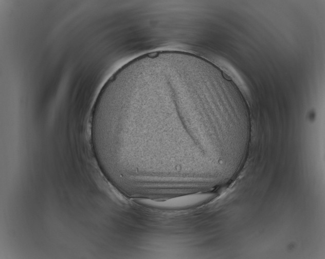 X0000094231292200711241736