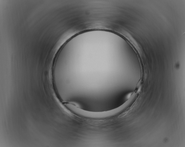 X0000094231293200711241736