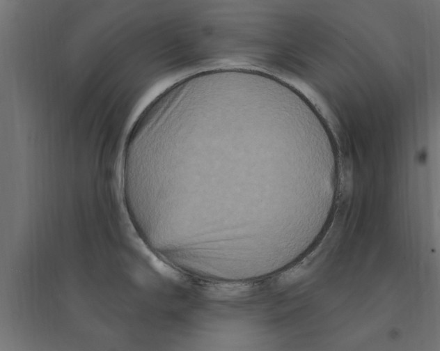 X0000094231294200711241736