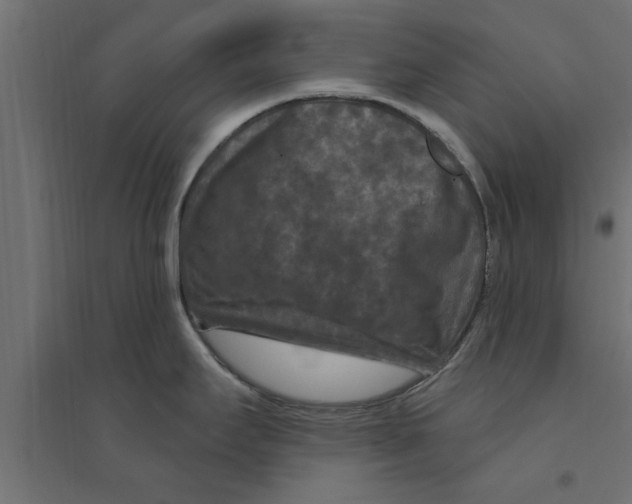 X0000094231295200711241736