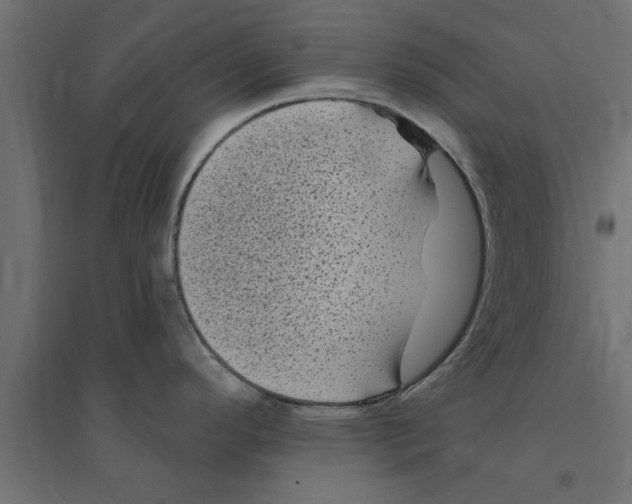 X0000094231296200711241736