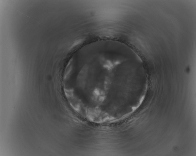 X0000094231297200711241735