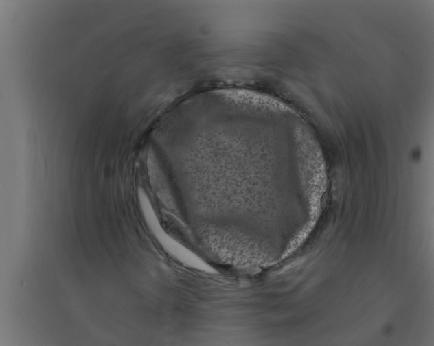 X0000094231298200711241735