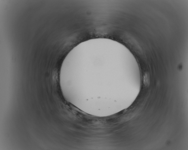 X0000094231299200711241735