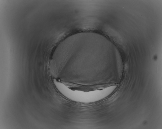X0000094231300200711241735