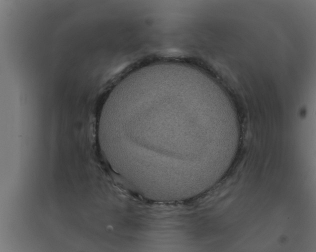 X0000094231301200711241735