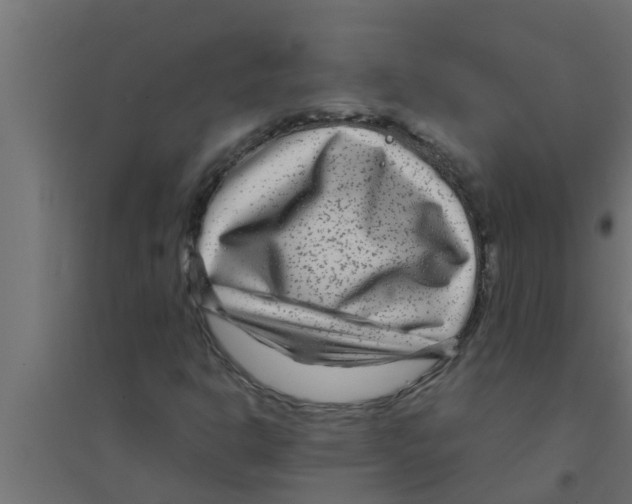 X0000094231302200711241735
