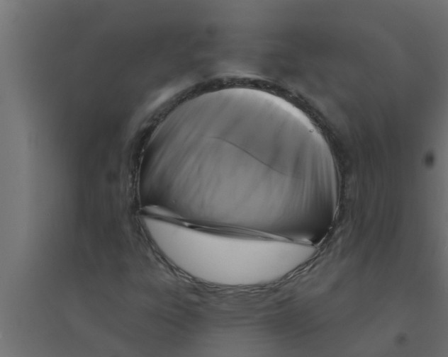 X0000094231303200711241735