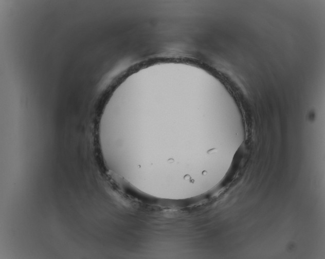 X0000094231304200711241735