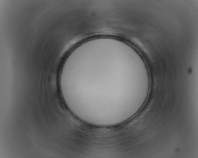 X0000094231307200711241736