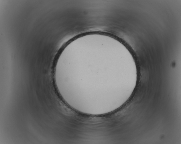 X0000094231308200711241736