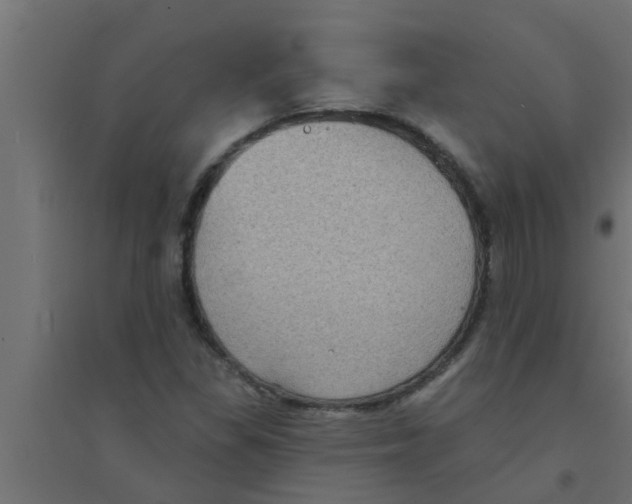X0000094231309200711241736