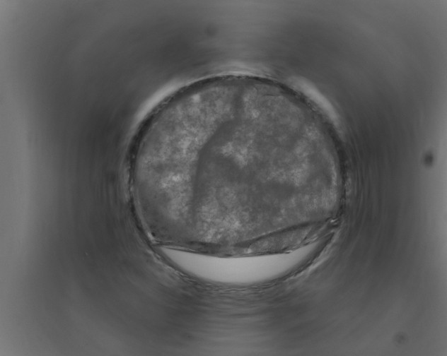 X0000094231310200711241736