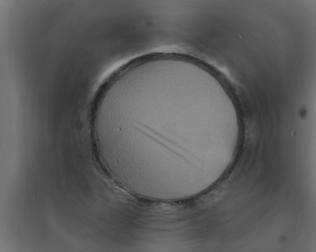 X0000094231311200711241736