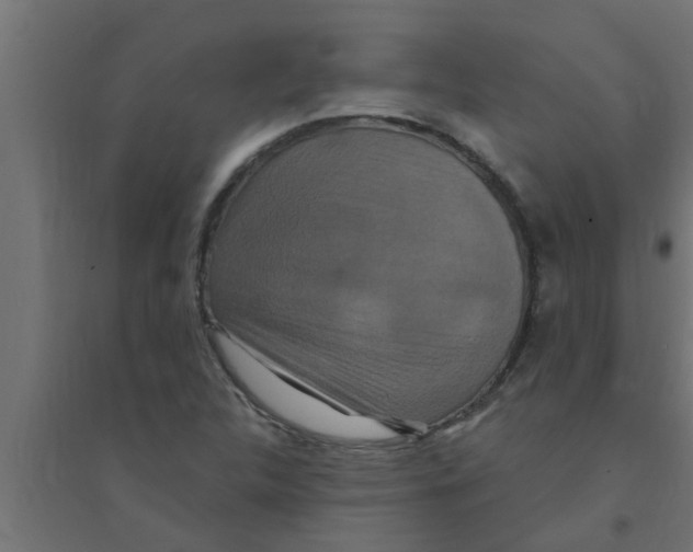 X0000094231312200711241736