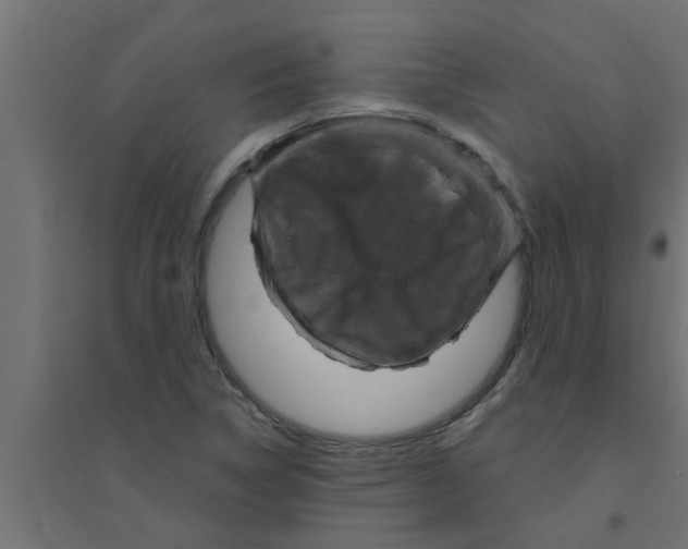 X0000094231314200711241736