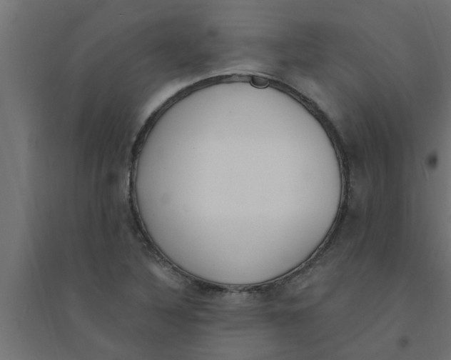 X0000094231316200711241736