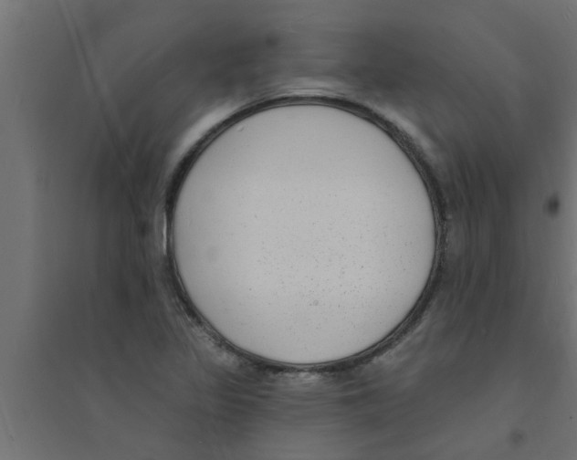 X0000094231317200711241736