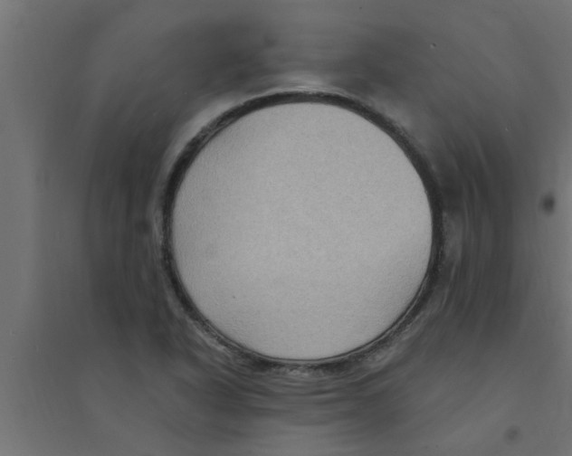 X0000094231318200711241736