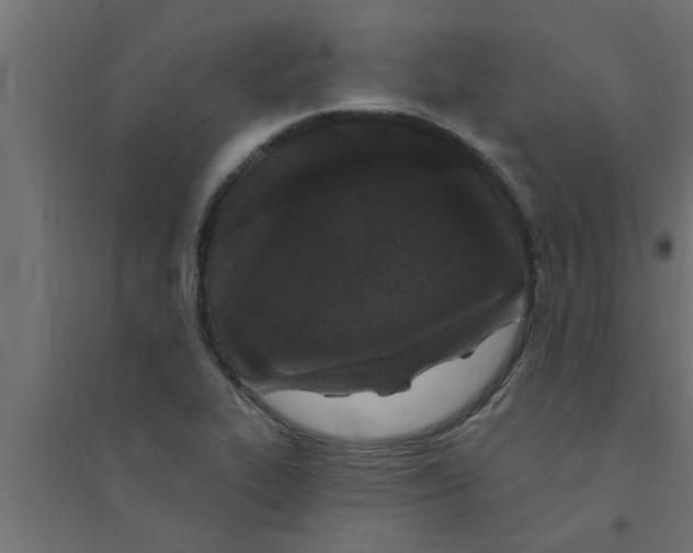X0000094231319200711241736
