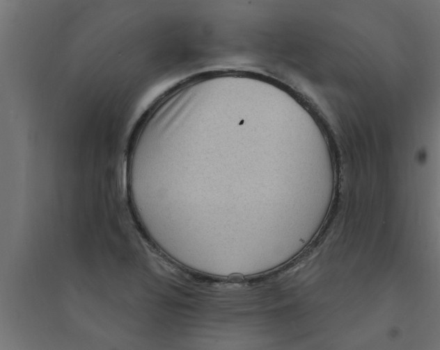 X0000094231320200711241736
