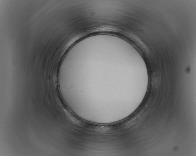 X0000094231321200711241736