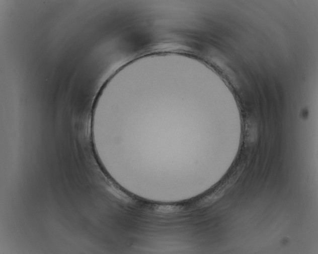 X0000094231322200711241736