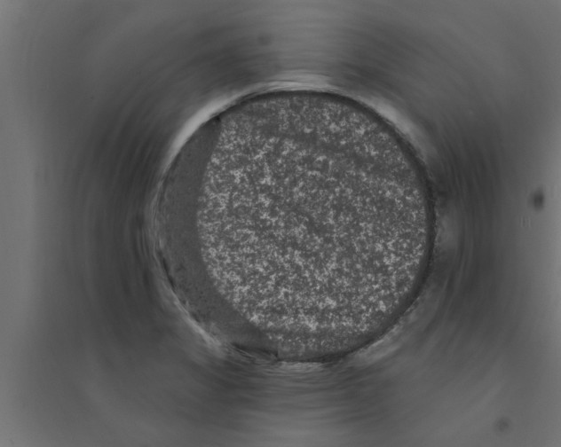 X0000094231325200711241736