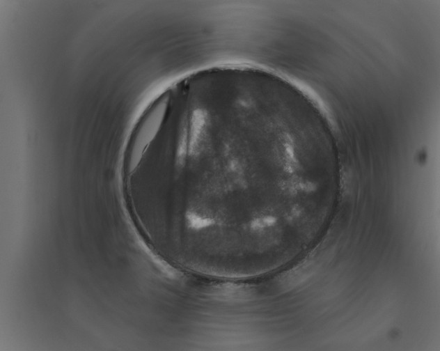 X0000094231327200711241736
