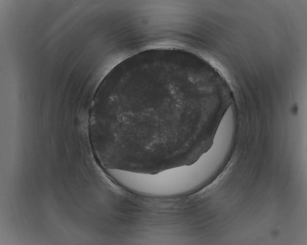 X0000094231329200711241736