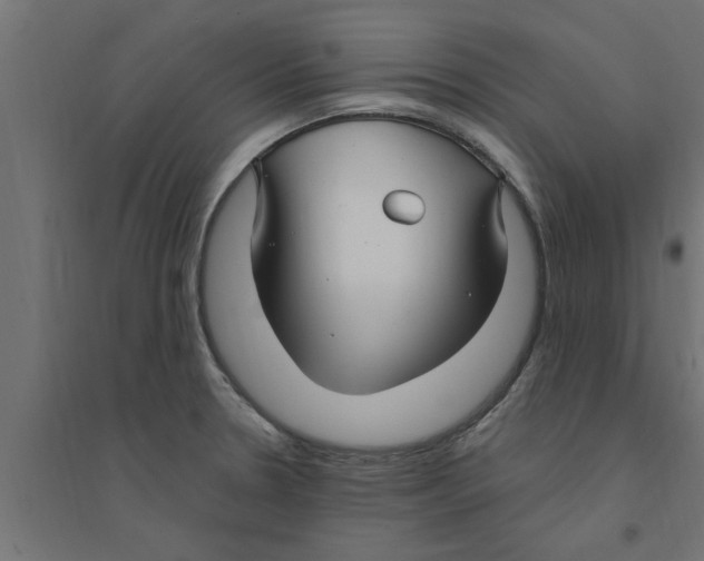 X0000094231330200711241736