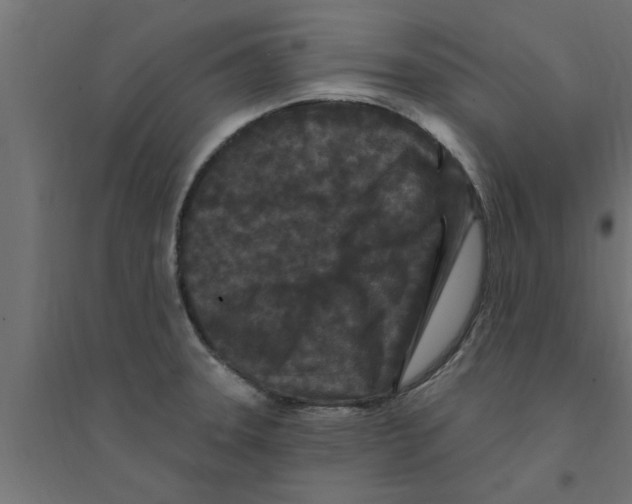 X0000094231331200711241736