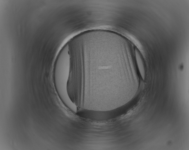 X0000094231332200711241736