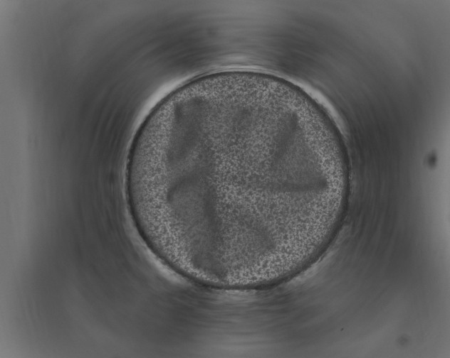 X0000094231333200711241736