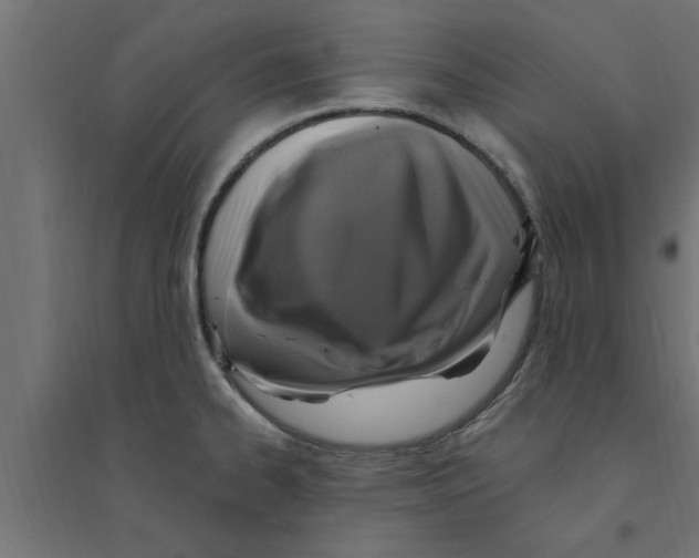 X0000094231334200711241736