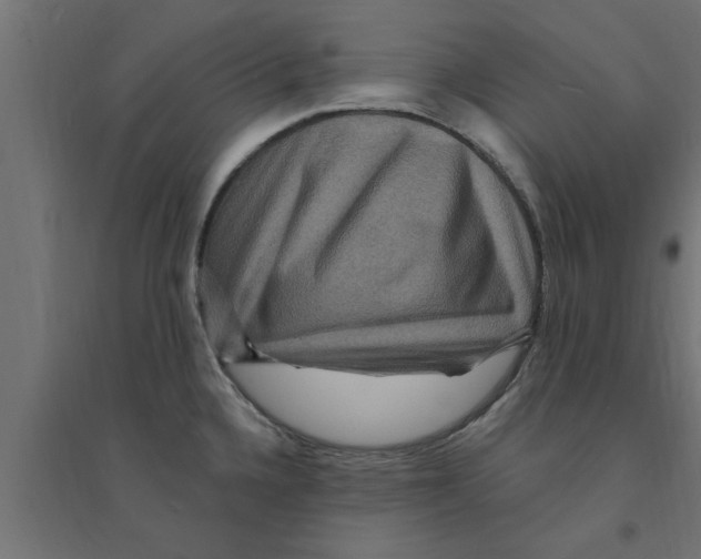 X0000094231336200711241736