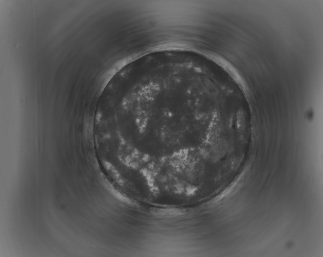 X0000094231337200711241736