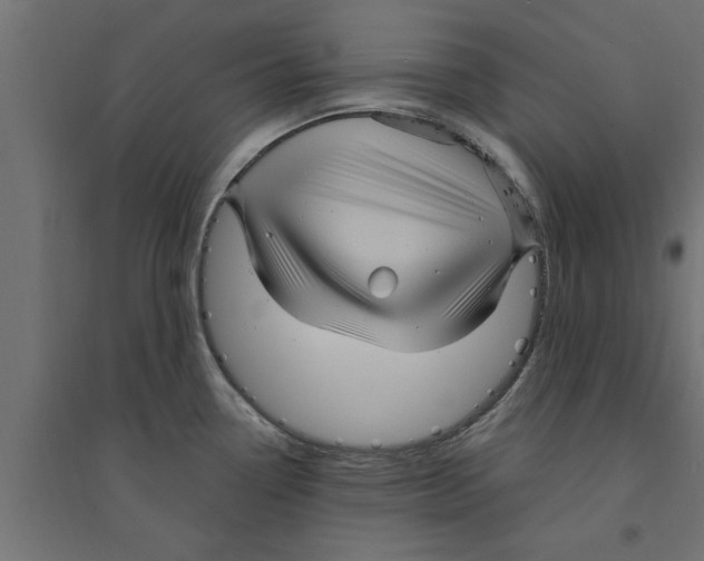 X0000094231338200711241736