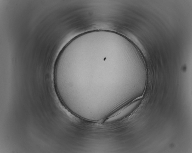 X0000094231339200711241736