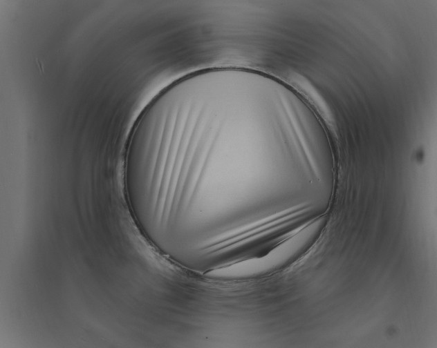 X0000094231340200711241736