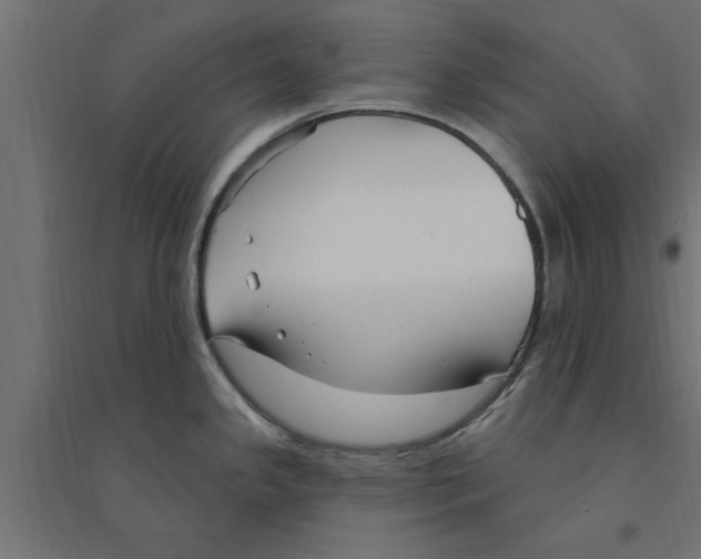 X0000094231341200711241736