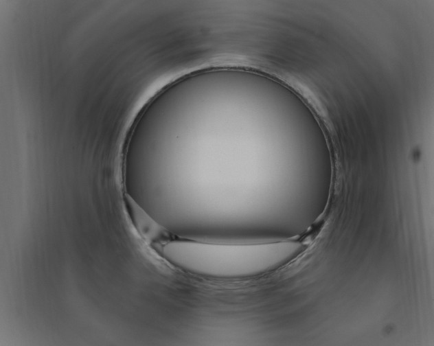 X0000094231342200711241736
