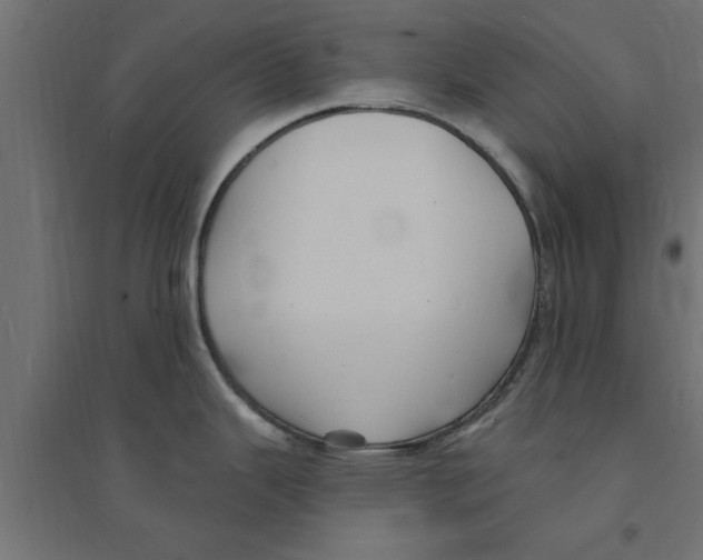 X0000094231343200711241736