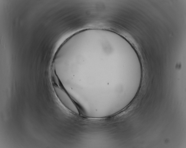 X0000094231344200711241736