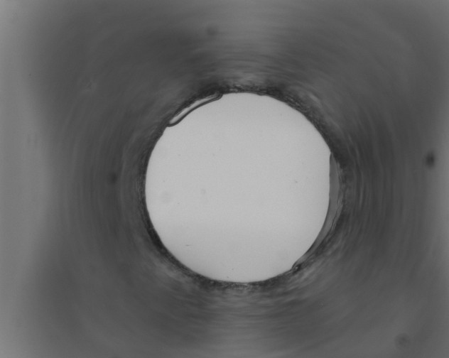 X0000094231345200711241735