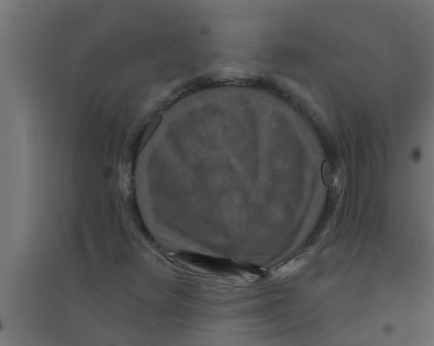 X0000094231348200711241735