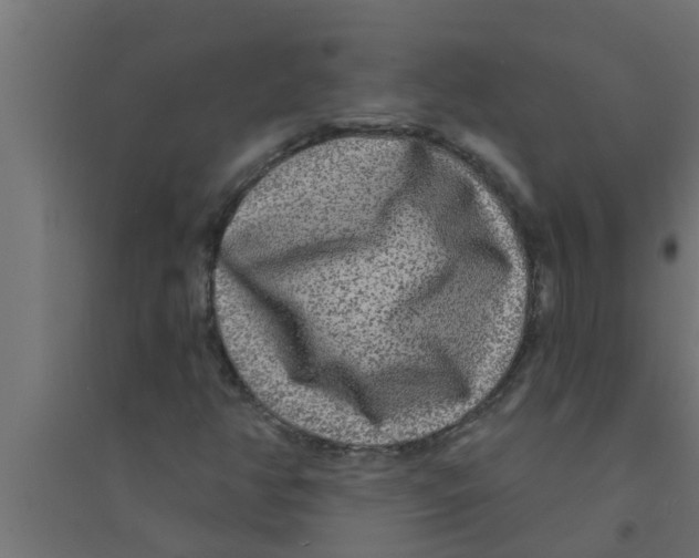X0000094231350200711241735