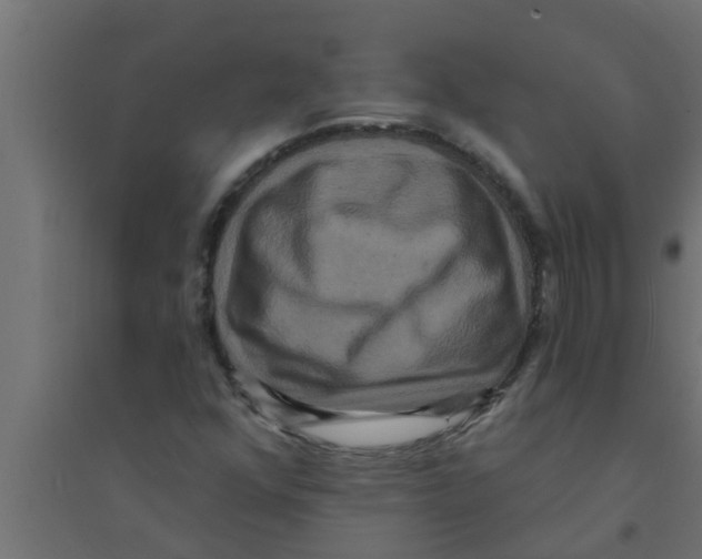 X0000094231352200711241735