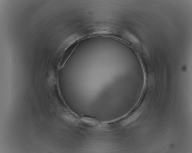 X0000094231353200711241735