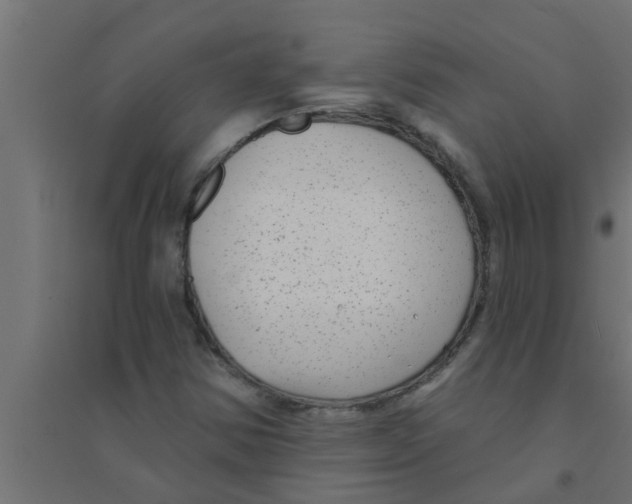 X0000094231354200711241735
